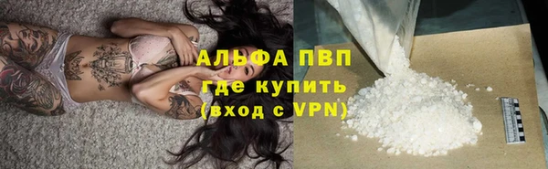 индика Абинск