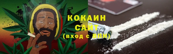 индика Абинск