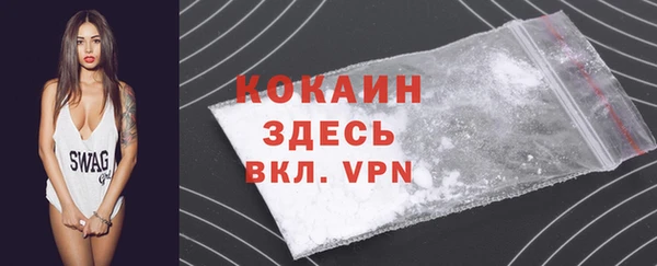 кокс Алексин