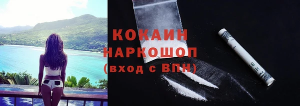 крисы Строитель