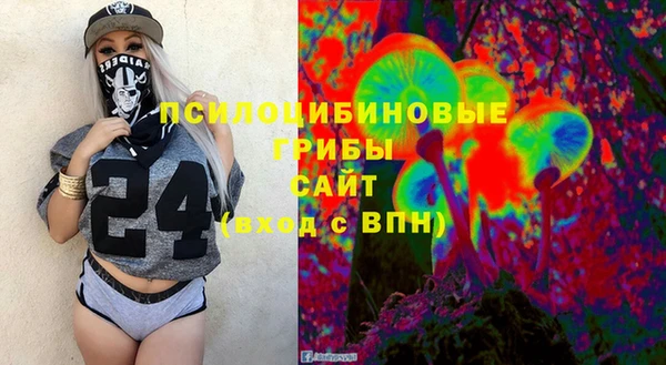 кокс Алексин